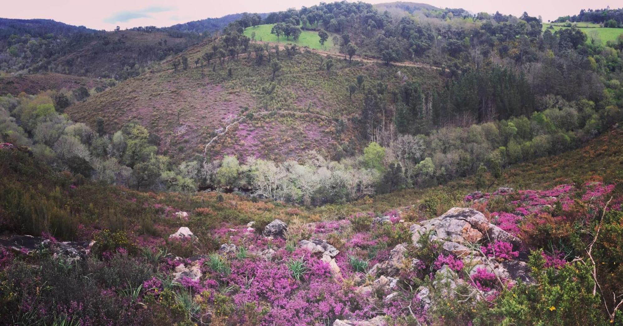 فيلا O Muino Da Balsina Toiriz المظهر الخارجي الصورة
